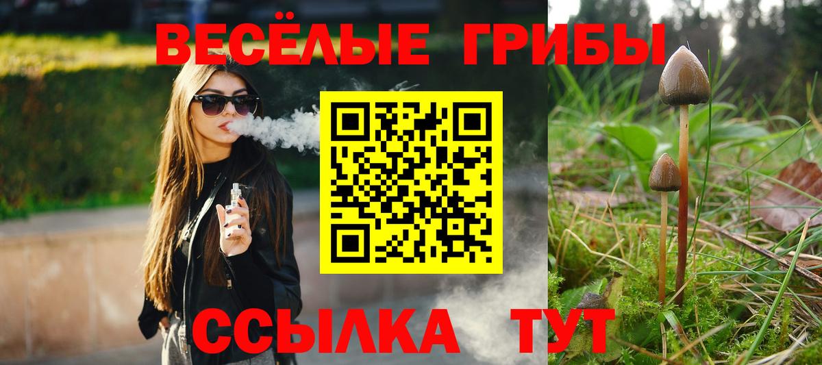 Псилоцибиновые грибы Psilocybine cubensis  Вход с VPN  Семёнов 