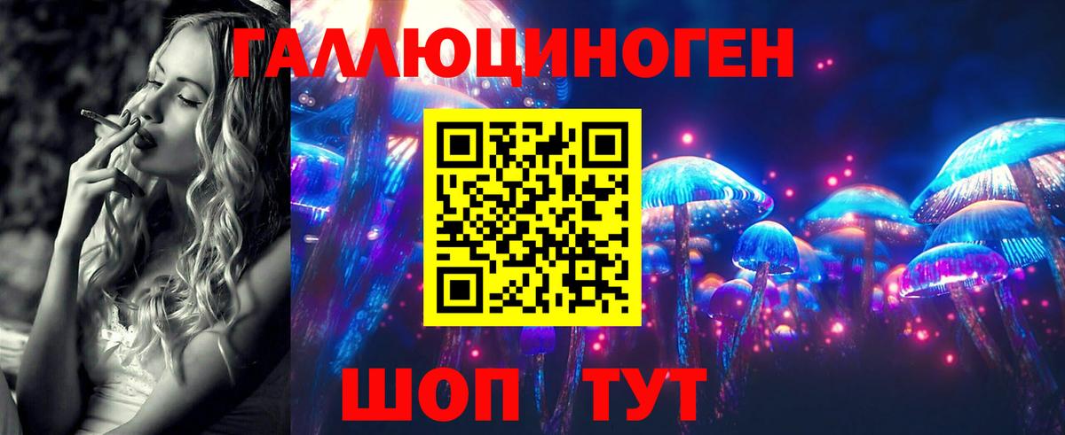 Псилоцибиновые грибы Psilocybe Семёнов